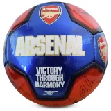 Arsenal FC Limited Edition Size 5 Signature Football - Image 3