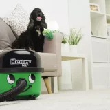 Henry Pet Corded Bagged Cylinder Vacuum Cleaner for Pet Hair - Image 4