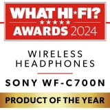 Sony WF-C700N True Wireless Noise Cancelling Earbuds - Black | Premium Sound & Comfortable Fit - Image 3