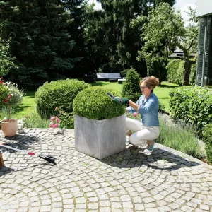 Bosch 12cm Cordless Shrub & Grass Shear – 3.6V Rechargeable Cutter