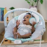 Ingenuity Bouncity Vibrating Deluxe Baby Bouncer Seat - Image 4
