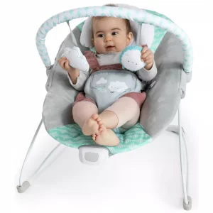 Ingenuity Bouncity Vibrating Deluxe Baby Bouncer Seat
