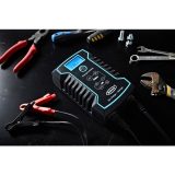 Ring 6.0Ah Smart Battery Charger – Reliable UK Charging Solution - Image 5
