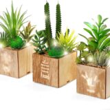 BEGONDIS Set of 3 LED Artificial Succulent Plants in Wooden Box – Fake Topiary Decor for Home, Office, Table Centerpiece, Valentine’s Day Gift - Image 2