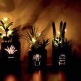 BEGONDIS Set of 3 LED Artificial Succulent Plants in Wooden Box – Fake Topiary Decor for Home, Office, Table Centerpiece, Valentine’s Day Gift - Image 4