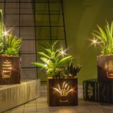 BEGONDIS Set of 3 LED Artificial Succulent Plants in Wooden Box – Fake Topiary Decor for Home, Office, Table Centerpiece, Valentine’s Day Gift - Image 1