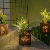 BEGONDIS Set of 3 LED Artificial Succulent Plants in Wooden Box – Fake Topiary Decor for Home, Office, Table Centerpiece, Valentine’s Day Gift - Image 6