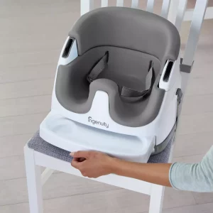 Ingenuity Baby Base 2-in-1 Convertible Seat - Slate Gray