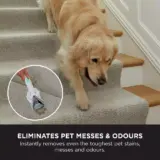 Shark StainStriker Pet Spot Remover - Image 4