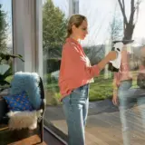 Karcher WV 5 Plus Handheld Window Vac – Cordless & Powerful - Image 1