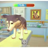 My Universe: Pet Clinic for Cats & Dogs - Nintendo Switch - Image 3
