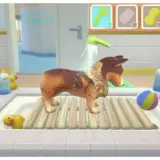My Universe: Pet Clinic for Cats & Dogs - Nintendo Switch - Image 7