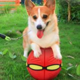 ICEBLUEOR 2-in-1 Dog Frisbee & Ball – Durable Toy for Training & Fetch - Image 2
