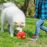 ICEBLUEOR 2-in-1 Dog Frisbee & Ball – Durable Toy for Training & Fetch - Image 5